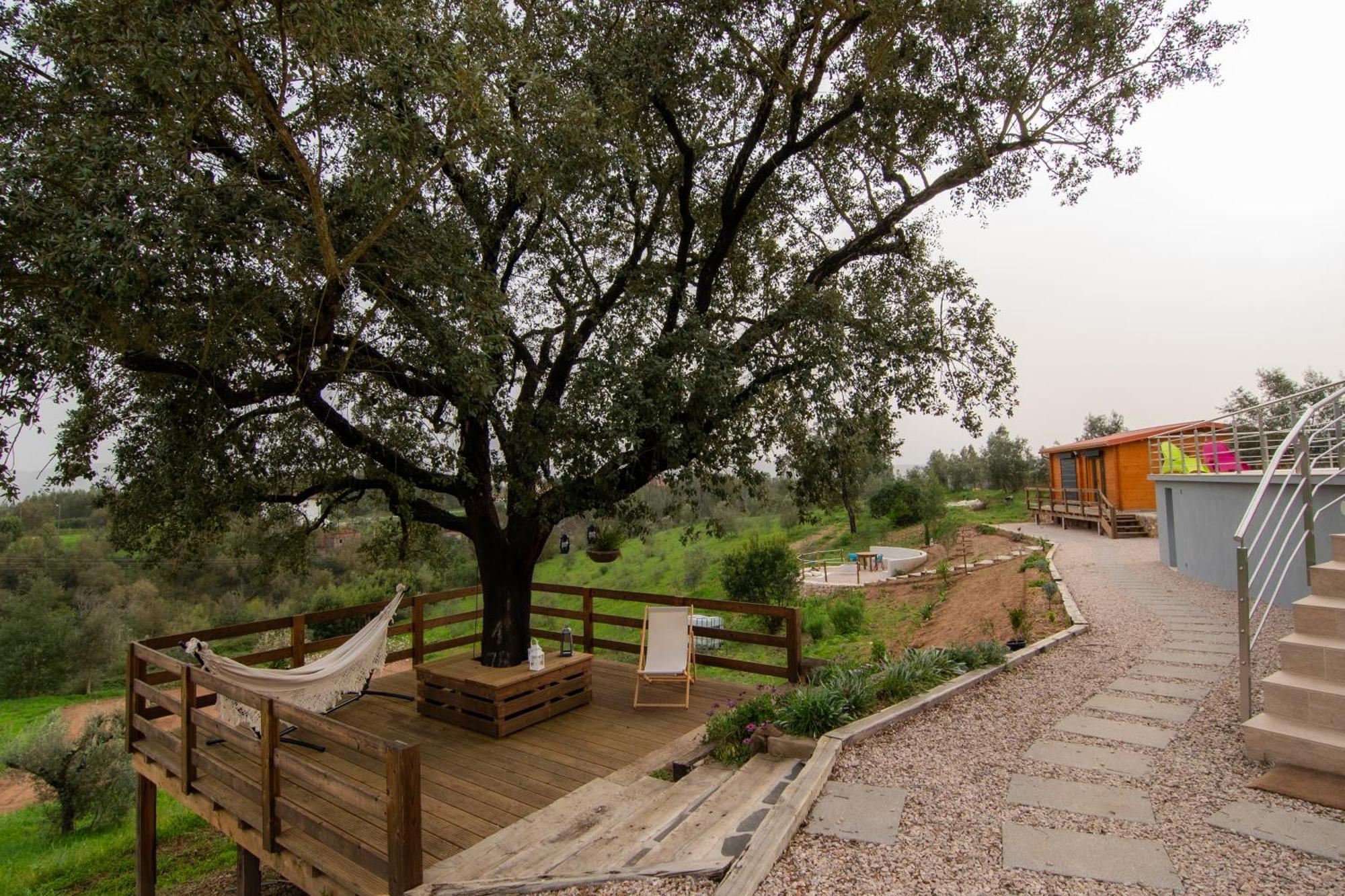 Quinta Do Esteval Penacova Exterior foto